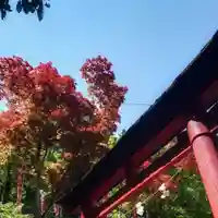 岐阜稲荷山本社(岐阜県)