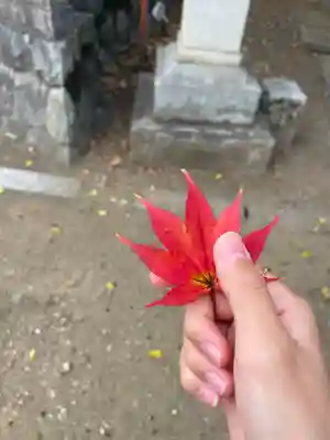 貴船神社(岐阜県)