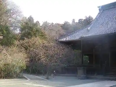 妙本寺の本殿・本堂