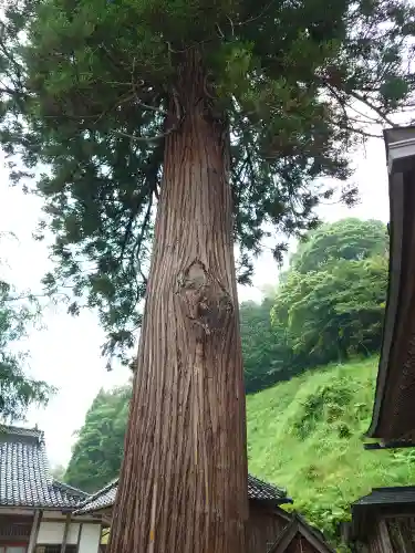 須我神社(島根県)