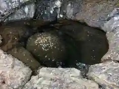 大御神社の自然