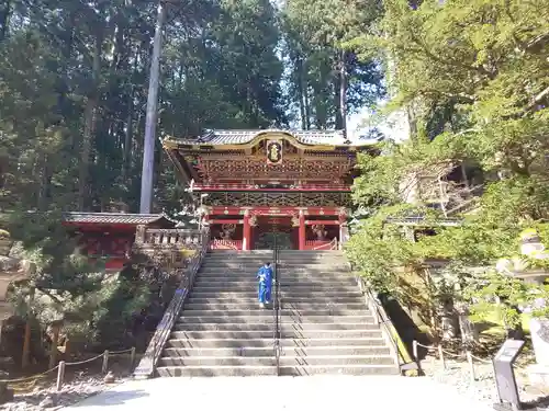 輪王寺の山門