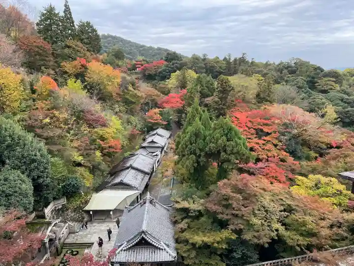 清水寺の景色