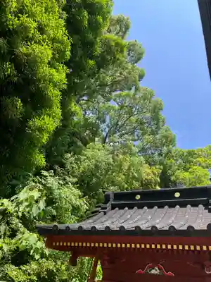 日枝神社(東京都)