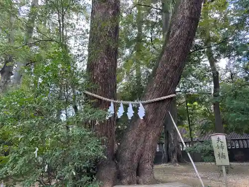 武蔵一宮氷川神社(埼玉県)