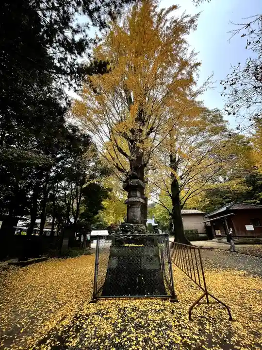 春日部八幡神社(埼玉県)