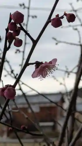平野天満宮(滋賀県)