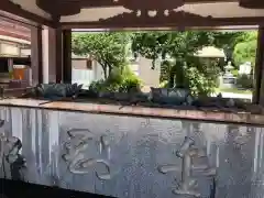 川崎大師（平間寺）の手水