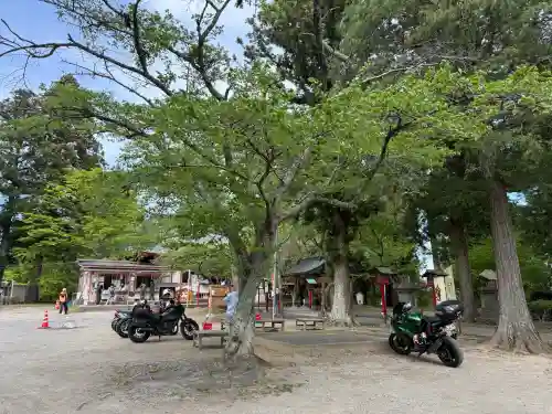 正一位 若草稲荷神社の{uncategorized: "未分類", other: "その他", undefined: "問題あり", building: "その他建物", grave: "お墓", sacred_gate: "鳥居", guardian: "狛犬", statue: "像", buddha: "仏像", history: "歴史", nature: "自然", garden: "庭園", animal: "動物", pagoda: "塔", temizu: "手水舎", mountain_gate: "山門・神門", sanctuary: "本殿・本堂", subordinate: "末社・摂社", art: "芸術", scenery: "景色", jizo: "地蔵", ema: "絵馬", goshuin: "御朱印", omikuji: "おみくじ", items: "授与品その他", amulet: "お守り", goshuincho: "御朱印帳", eats: "食事", festival: "お祭り", votive_dance: "神楽", shichigosan: "七五三参", wedding: "結婚式", experience: "体験その他", initially: "初詣", around: "周辺", anti_infection: "感染症対策"}