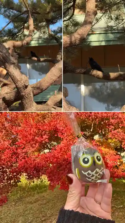 函館護國神社(北海道)