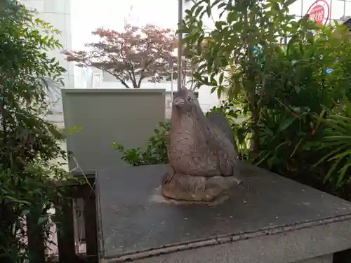 高知大神宮の狛犬