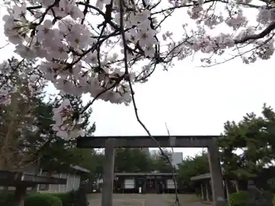 福井神社(福井県)