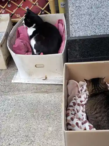 白金氷川神社(東京都)