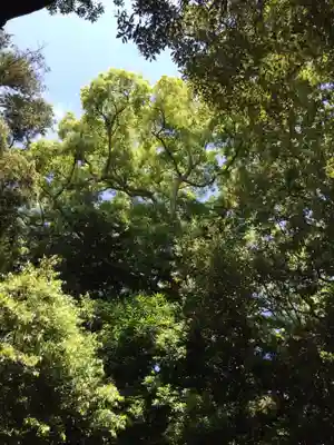 志宝屋神社(豊受大神宮末社)の自然
