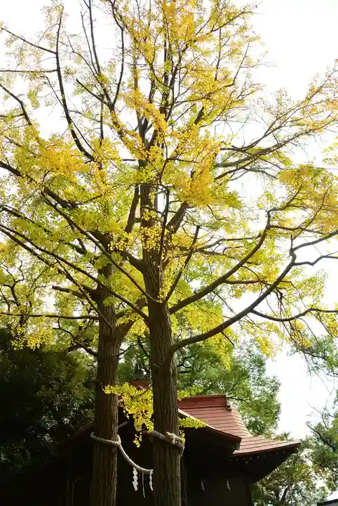 多摩川浅間神社(東京都)
