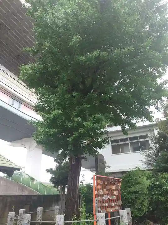 小谷野神社(東京都)