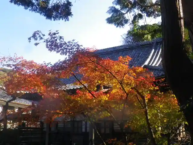 安國論寺(安国論寺)の自然