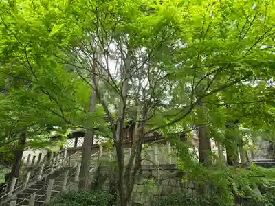 興正寺別院(本山興正寺霊山本廟)(京都府)