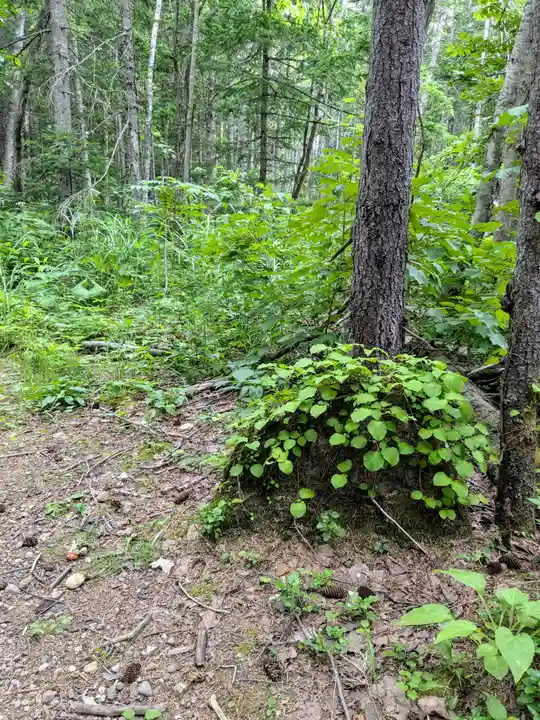 白金滝不動尊(北海道)