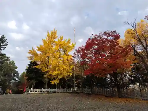 上川神社の景色