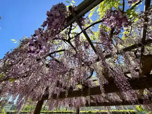 天満宮中之社（廃神社・石碑あり）(大阪府)