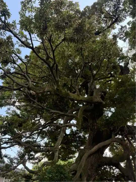 九重神社(埼玉県)