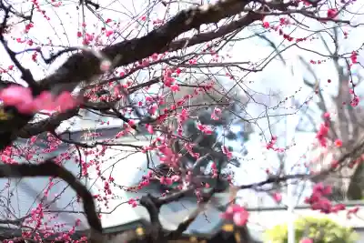 大國魂神社(東京都)