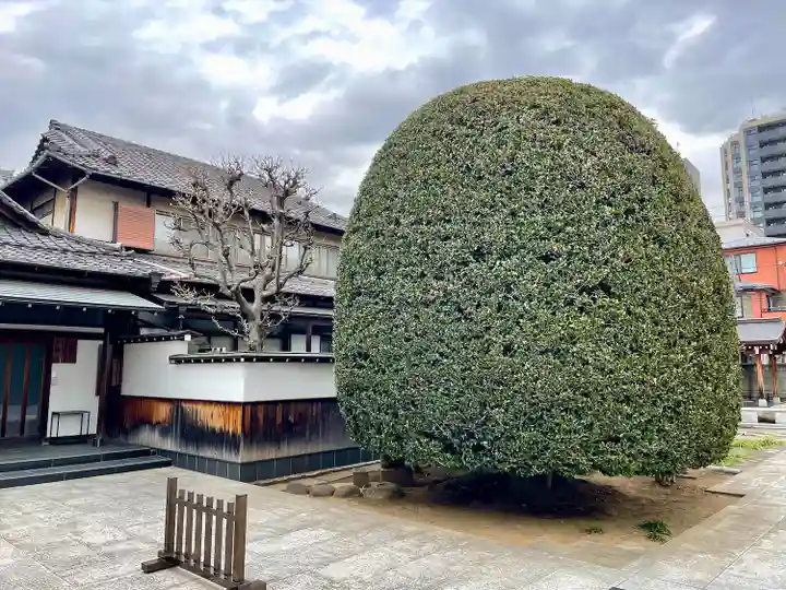 龍光寺(東京都)