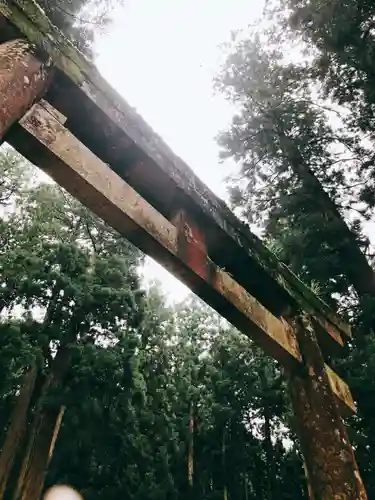 室生龍穴神社の鳥居