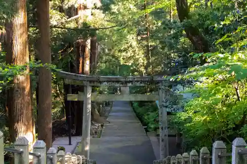 白山比咩神社の鳥居