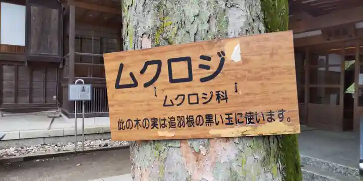 深大寺(東京都)