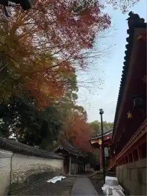 石清水八幡宮(京都府)