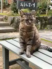 王子神社の動物