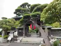 長谷寺の山門・神門