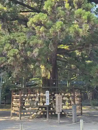 宮崎神宮(宮崎県)