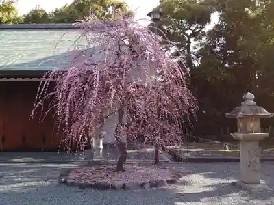 城南宮(京都府)