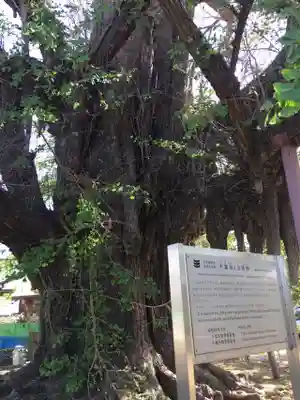 千葉寺のその他建物