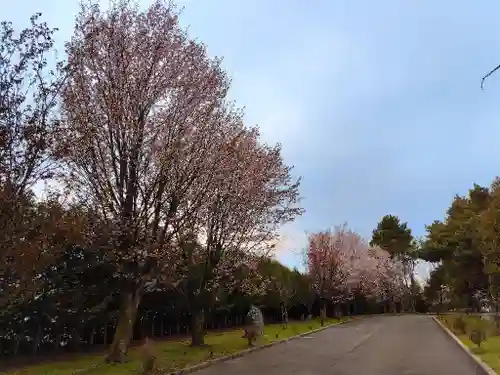 美瑛神社の自然