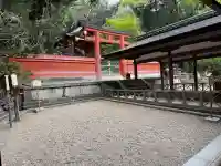春日大社 若宮(春日若宮)の{uncategorized: "未分類", other: "その他", undefined: "問題あり", building: "その他建物", grave: "お墓", sacred_gate: "鳥居", guardian: "狛犬", statue: "像", buddha: "仏像", history: "歴史", nature: "自然", garden: "庭園", animal: "動物", pagoda: "塔", temizu: "手水舎", mountain_gate: "山門・神門", sanctuary: "本殿・本堂", subordinate: "末社・摂社", art: "芸術", scenery: "景色", jizo: "地蔵", ema: "絵馬", goshuin: "御朱印", omikuji: "おみくじ", items: "授与品その他", amulet: "お守り", goshuincho: "御朱印帳", eats: "食事", festival: "お祭り", votive_dance: "神楽", shichigosan: "七五三参", wedding: "結婚式", experience: "体験その他", initially: "初詣", around: "周辺", anti_infection: "感染症対策"}