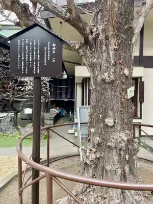 千束稲荷神社の{uncategorized: "未分類", other: "その他", undefined: "問題あり", building: "その他建物", grave: "お墓", sacred_gate: "鳥居", guardian: "狛犬", statue: "像", buddha: "仏像", history: "歴史", nature: "自然", garden: "庭園", animal: "動物", pagoda: "塔", temizu: "手水舎", mountain_gate: "山門・神門", sanctuary: "本殿・本堂", subordinate: "末社・摂社", art: "芸術", scenery: "景色", jizo: "地蔵", ema: "絵馬", goshuin: "御朱印", omikuji: "おみくじ", items: "授与品その他", amulet: "お守り", goshuincho: "御朱印帳", eats: "食事", festival: "お祭り", votive_dance: "神楽", shichigosan: "七五三参", wedding: "結婚式", experience: "体験その他", initially: "初詣", around: "周辺", anti_infection: "感染症対策"}