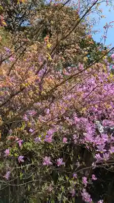 圓光寺(京都府)