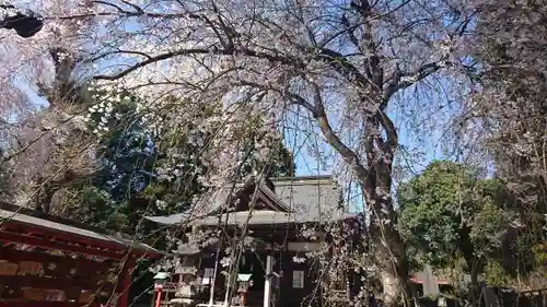 下野國一社八幡宮の本殿