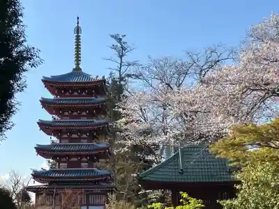 本土寺(千葉県)