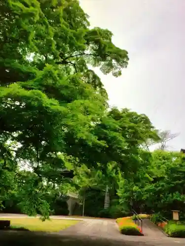 福蔵院(東京都)