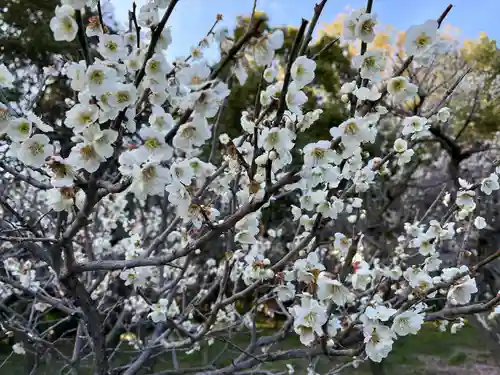 道明寺天満宮(大阪府)