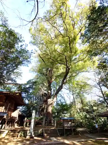 神崎神社(千葉県)