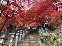 大山寺(神奈川県)