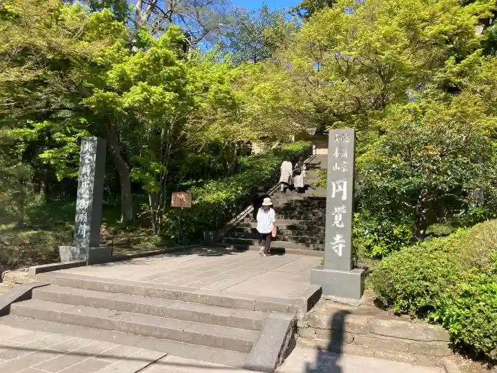 円覚寺の{uncategorized: "未分類", other: "その他", undefined: "問題あり", building: "その他建物", grave: "お墓", sacred_gate: "鳥居", guardian: "狛犬", statue: "像", buddha: "仏像", history: "歴史", nature: "自然", garden: "庭園", animal: "動物", pagoda: "塔", temizu: "手水舎", mountain_gate: "山門・神門", sanctuary: "本殿・本堂", subordinate: "末社・摂社", art: "芸術", scenery: "景色", jizo: "地蔵", ema: "絵馬", goshuin: "御朱印", omikuji: "おみくじ", items: "授与品その他", amulet: "お守り", goshuincho: "御朱印帳", eats: "食事", festival: "お祭り", votive_dance: "神楽", shichigosan: "七五三参", wedding: "結婚式", experience: "体験その他", initially: "初詣", around: "周辺", anti_infection: "感染症対策"}