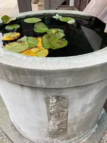 塚崎神明社(千葉県)