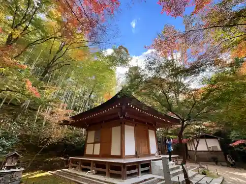 真珠院(神峯山寺塔頭)(大阪府)